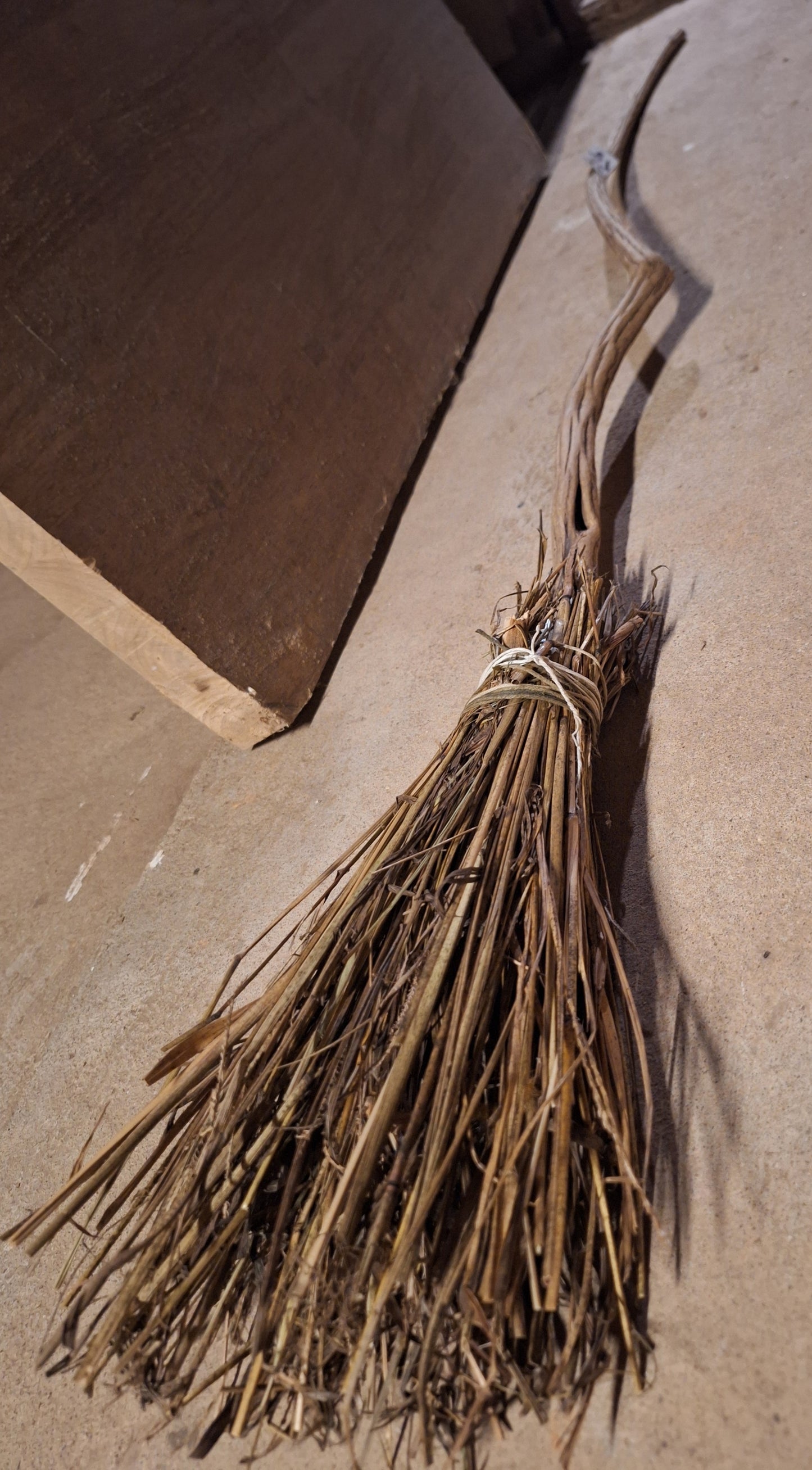 Enchanted Broomstick